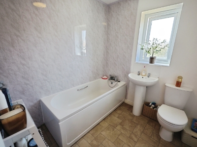 Picture 16